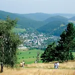 Komfort-Fewo 