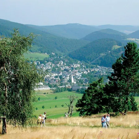 Blumes Bergfrieden Mit Meinecardplus Willingen (Upland)