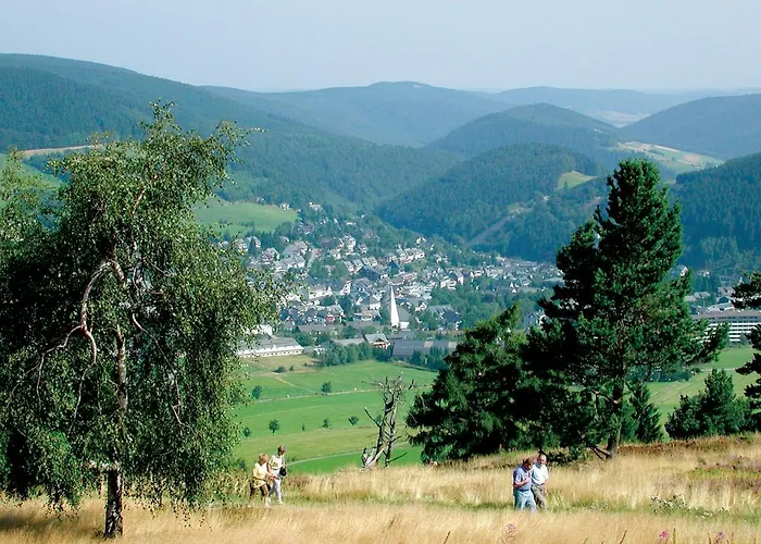Blumes Bergfrieden Mit Meinecardplus Willingen (Upland)